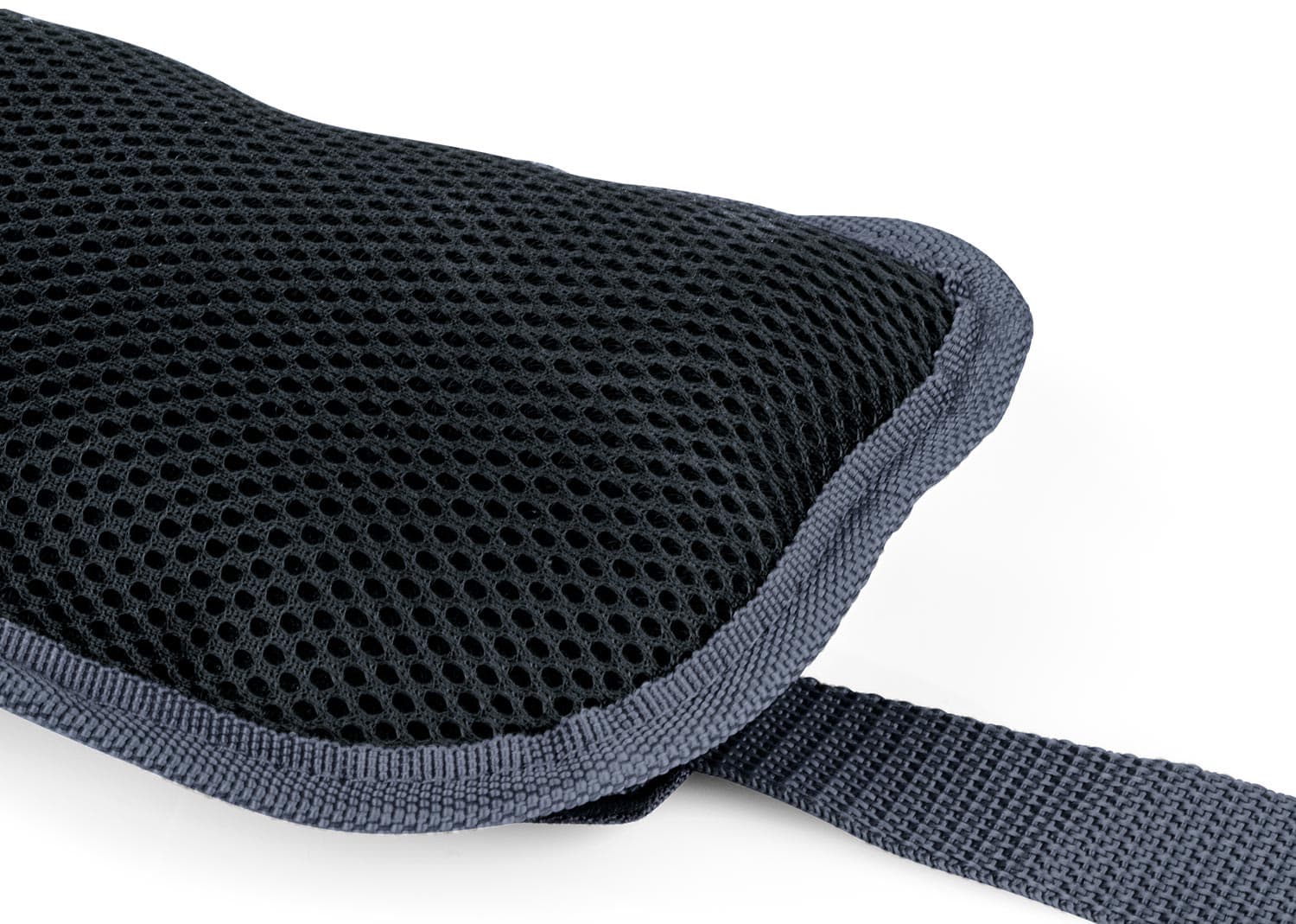 Canguro Sebastián 15