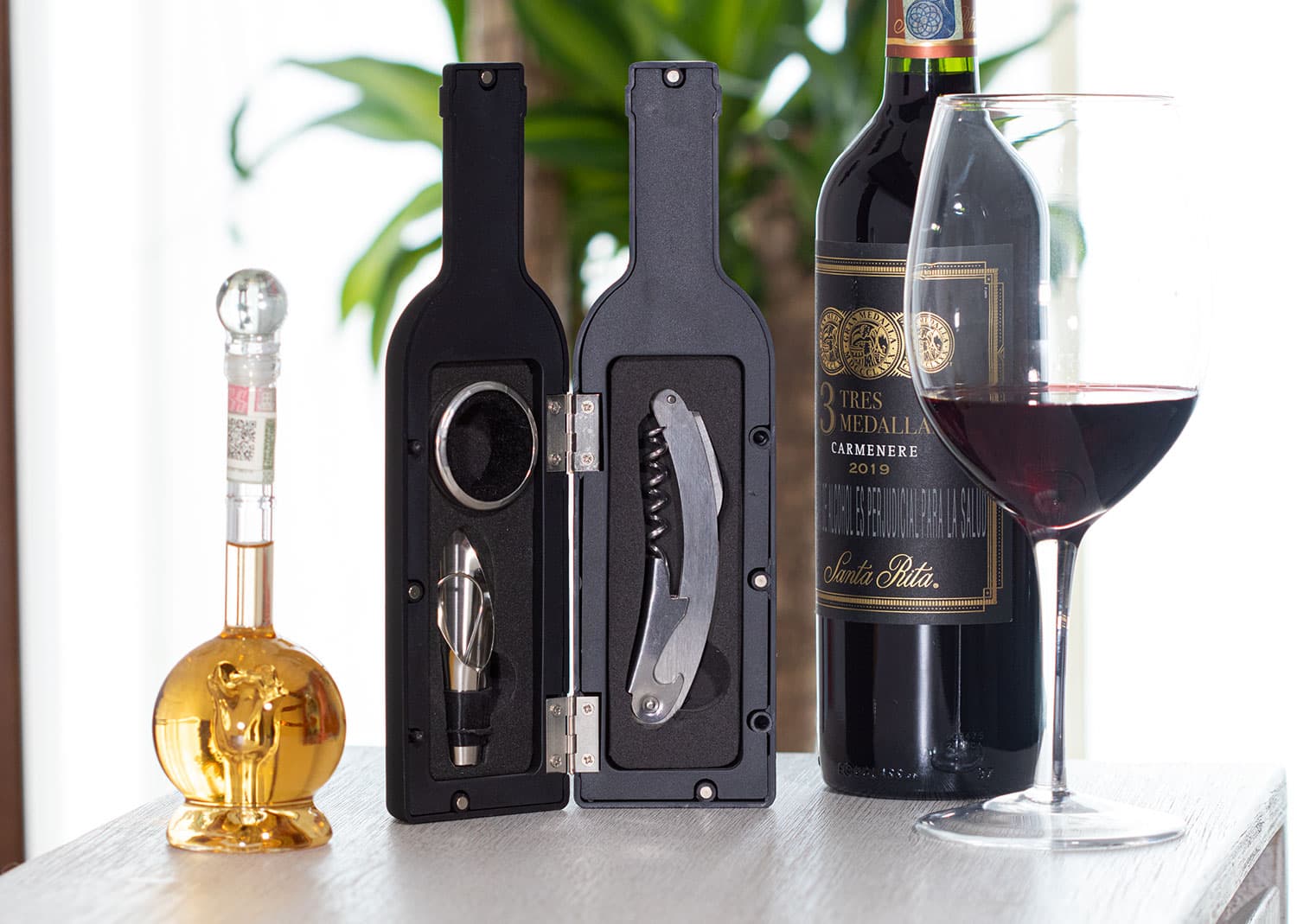 Set Vino Bottle 4