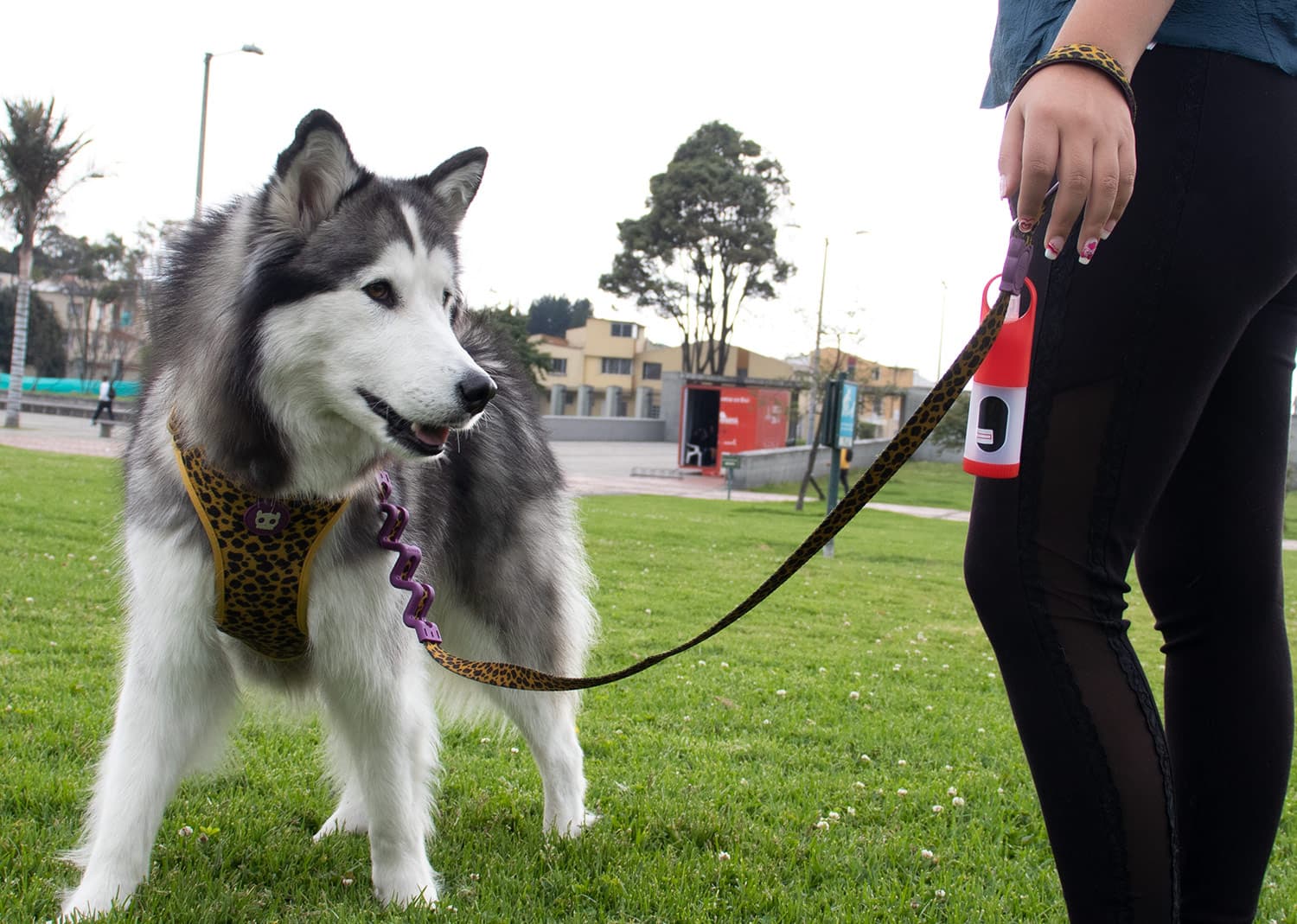 Dispensador Sanitizer 4