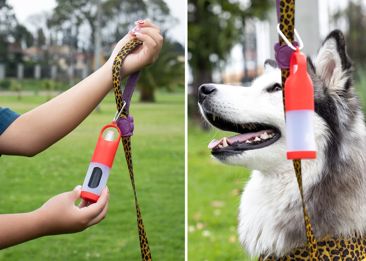 Dispensador Sanitizer 3