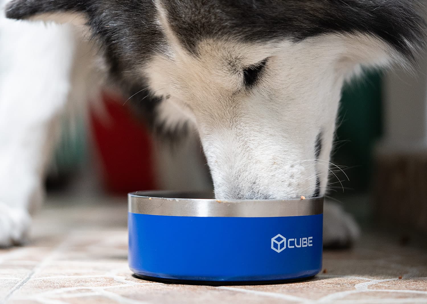 Bebedero Mascota Tonny 9