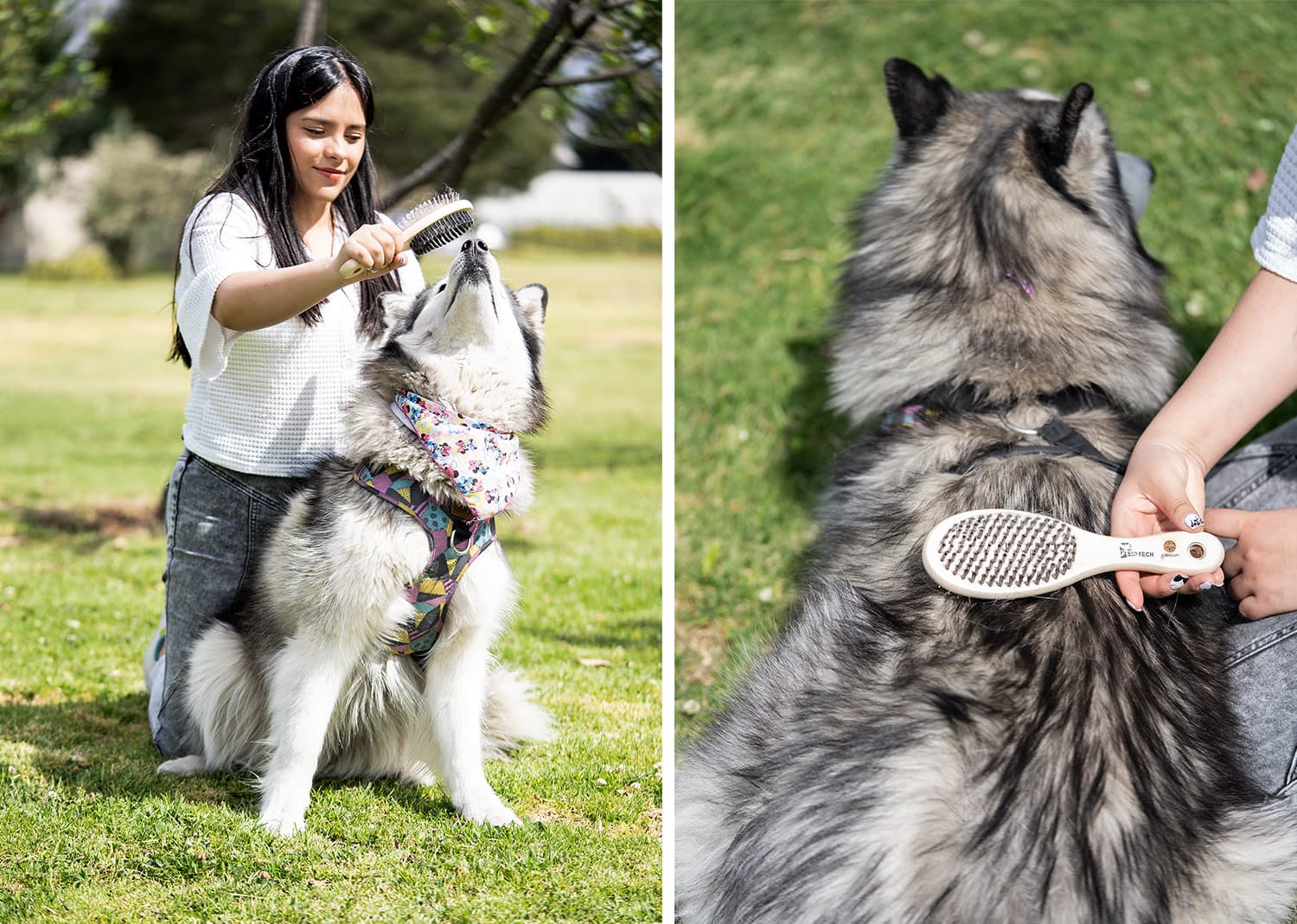 Cepillos para Mascotas Laika 4