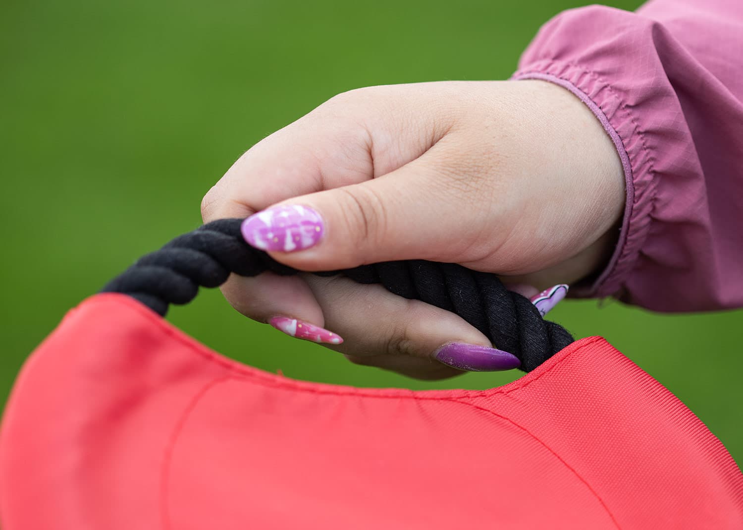 Frisby para Mascotas Hachiko 6