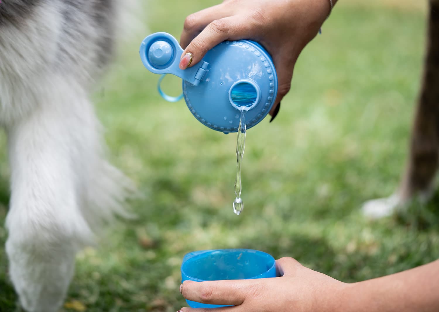 Bebedero 2en1 para Mascotas Snoopy 7