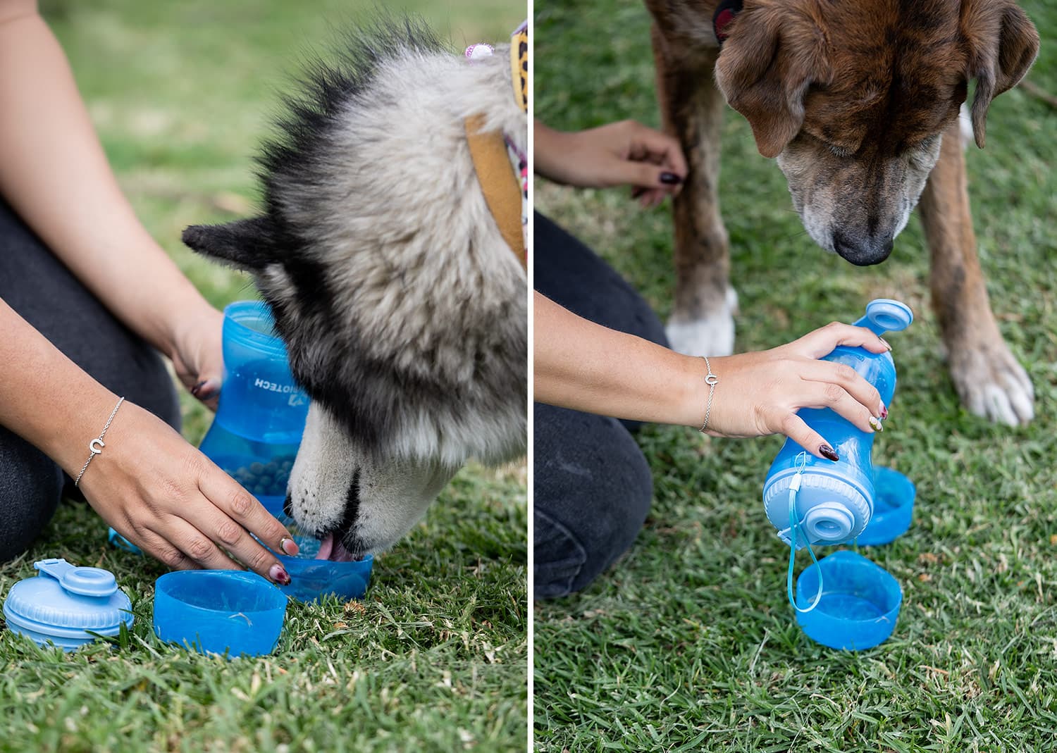 Bebedero 2en1 para Mascotas Snoopy 9