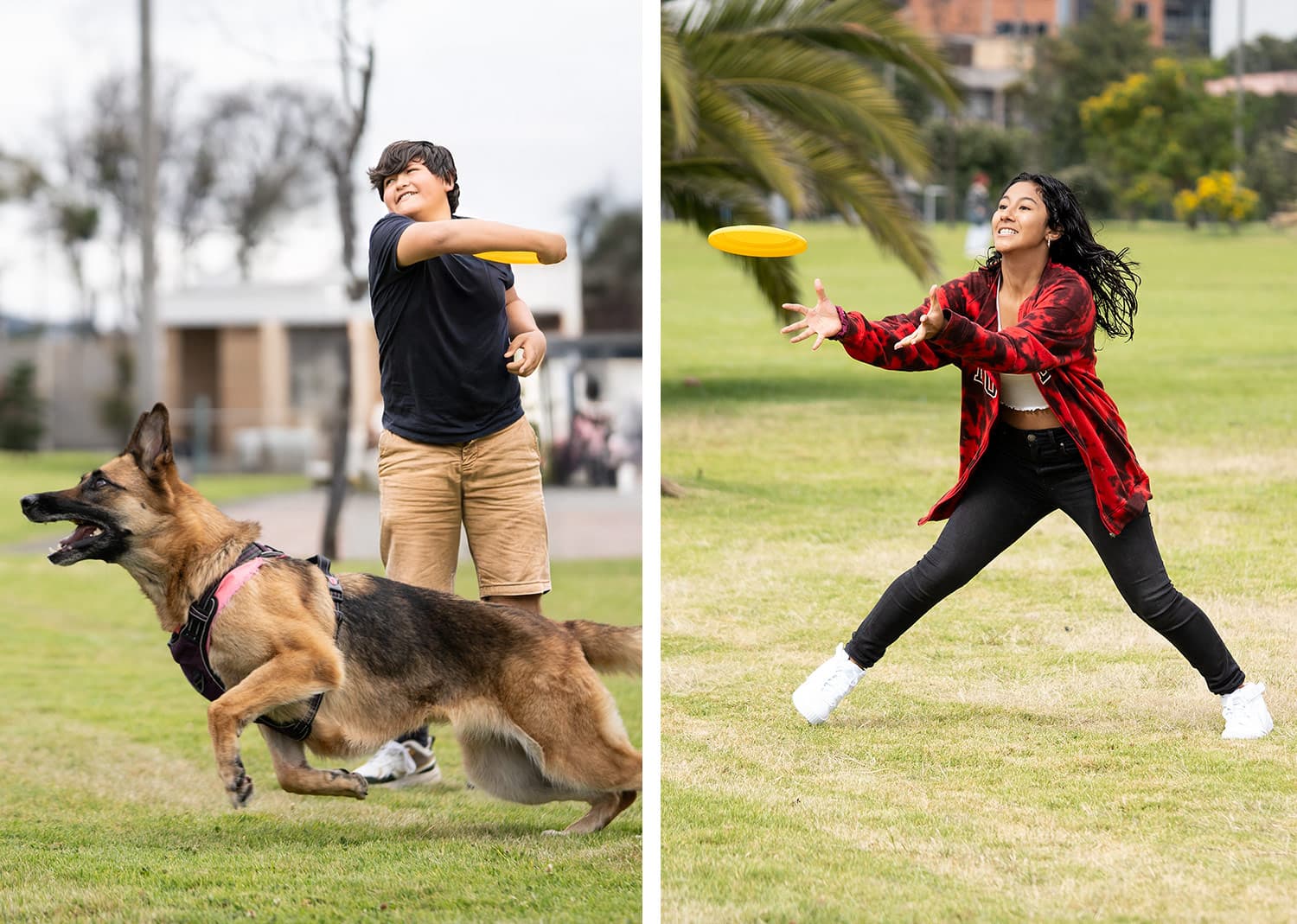 Frisby para Mascotas Scrappy 18