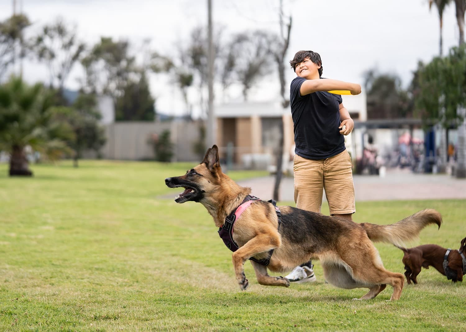 Frisby para Mascotas Scrappy 5