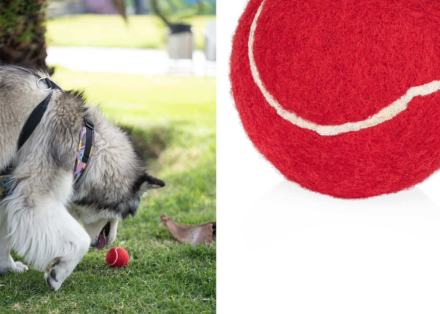 Pelota para Mascotas Marley 9