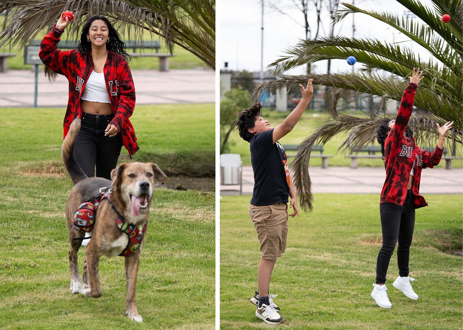 Pelota para Mascotas Marley 10