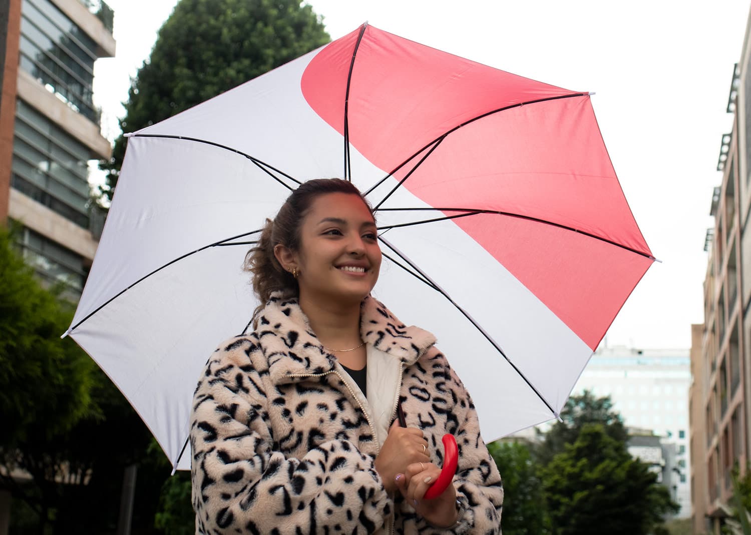 Paraguas 23" Dayana 16