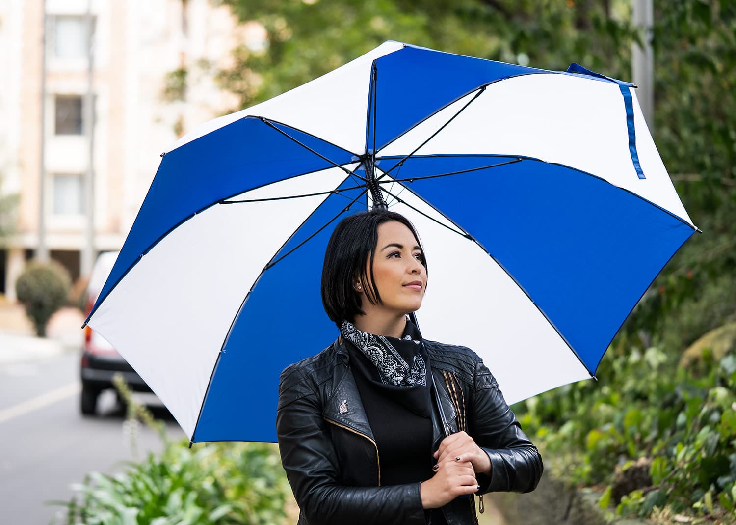 Paraguas 29" Botticelli  6