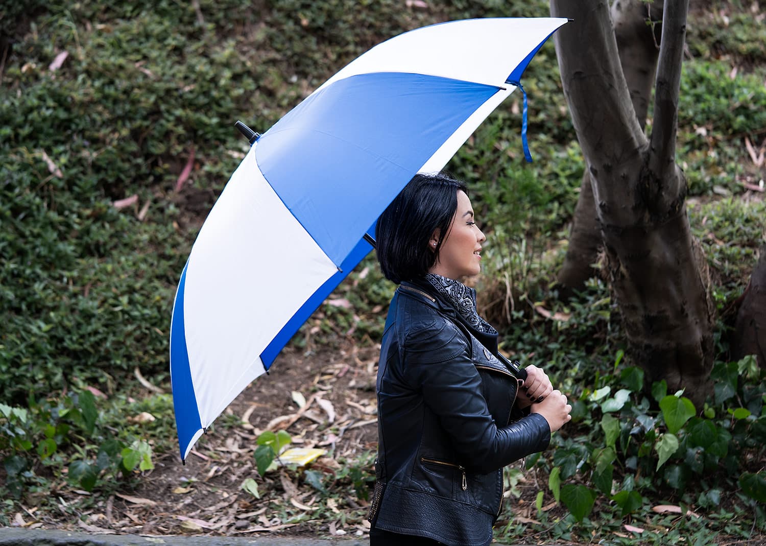 Paraguas 29" Botticelli  3