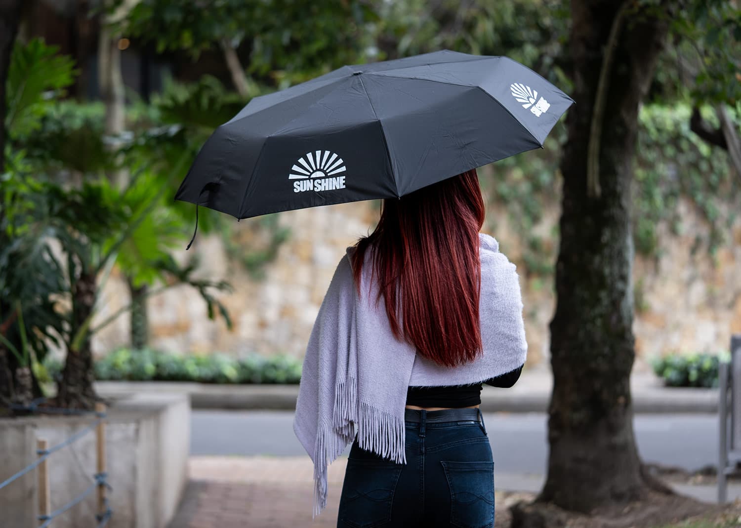 Set Paraguas Da Vinci 12