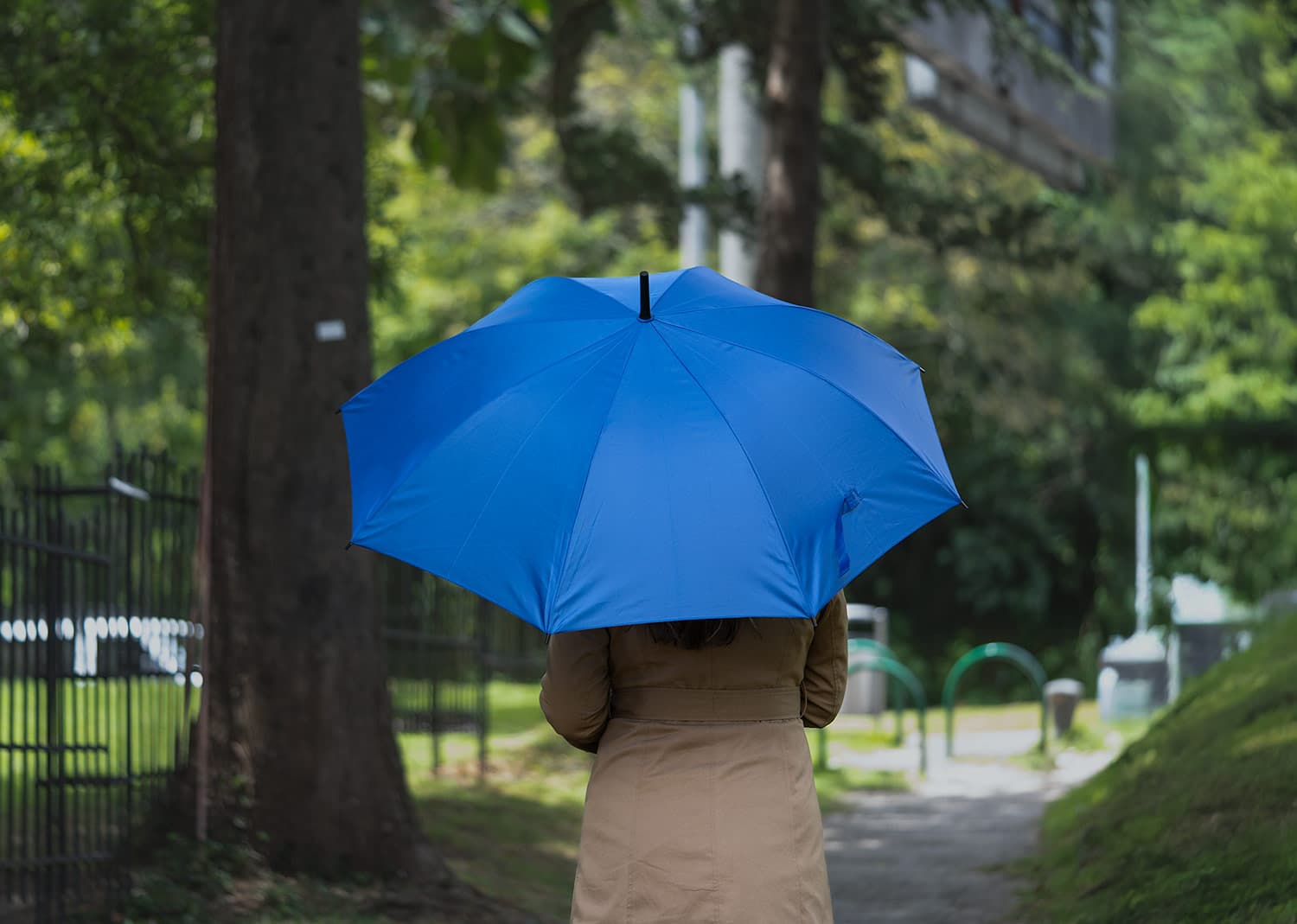 Paraguas 23" Cézzane 8