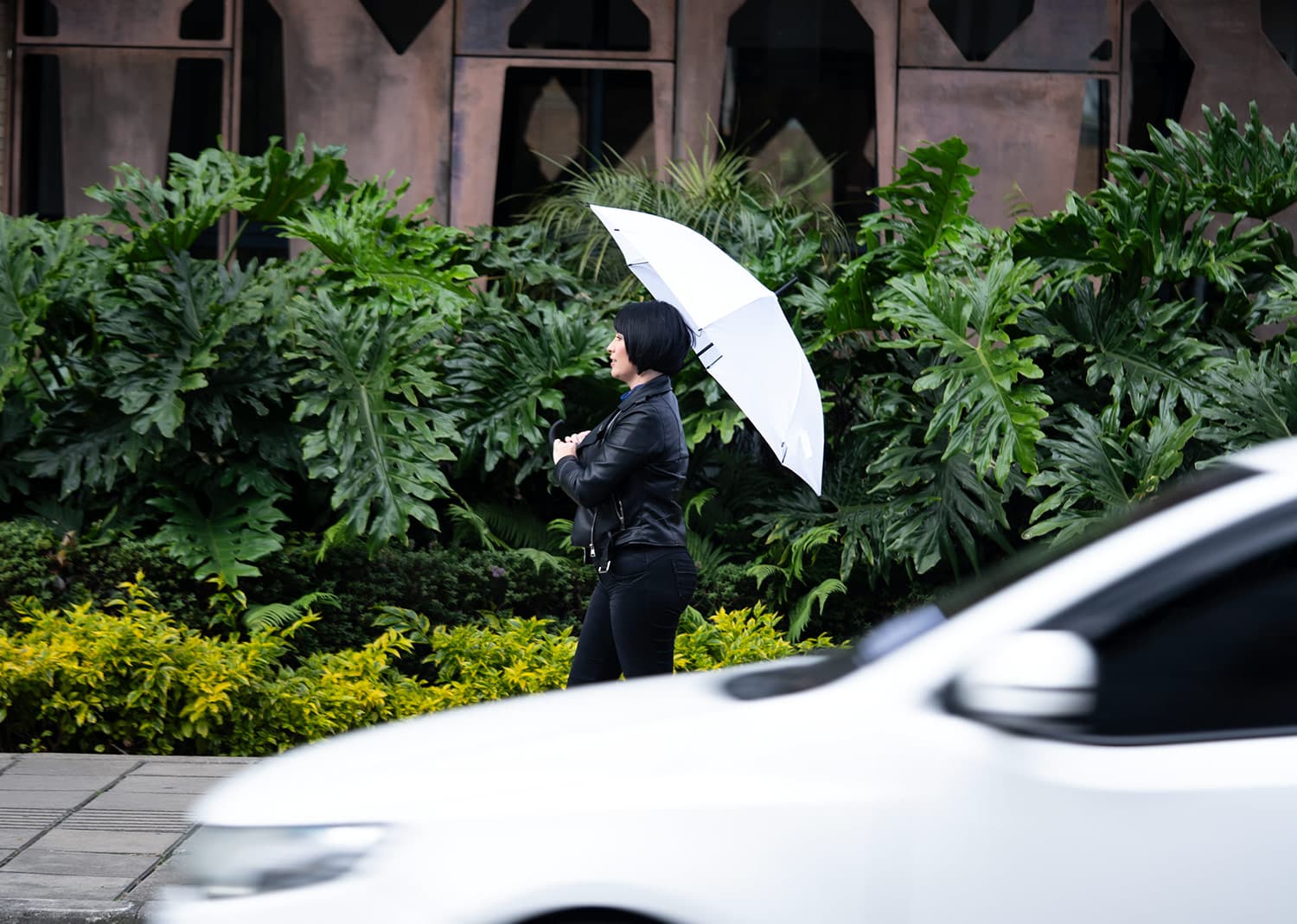 Paraguas 23" Cézzane 2