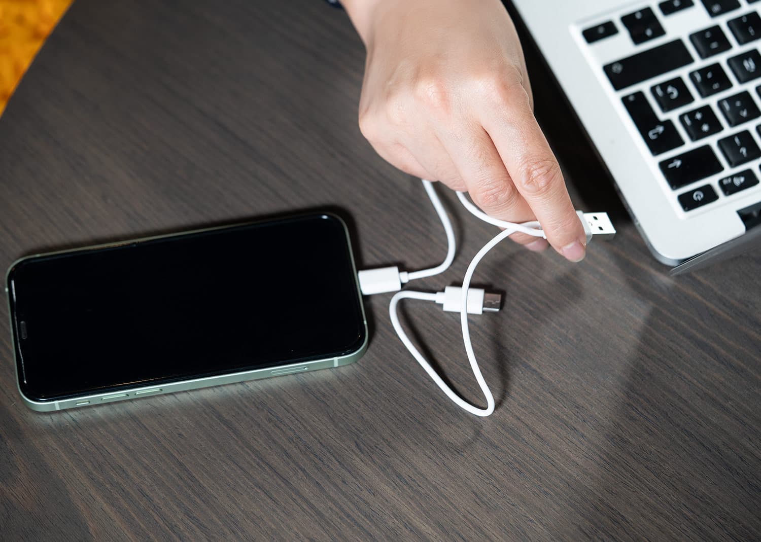 Set de Cables Frenzy 4